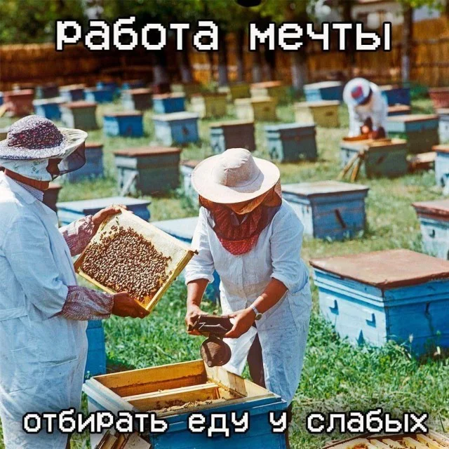 Мемы нестандартного юмора #2