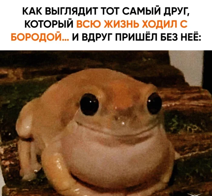 Пошлые мемы и чёрный юмор 18+ | Подборка #35 Пошлые мемы и чёрный юмор 18+ | Подборка #35