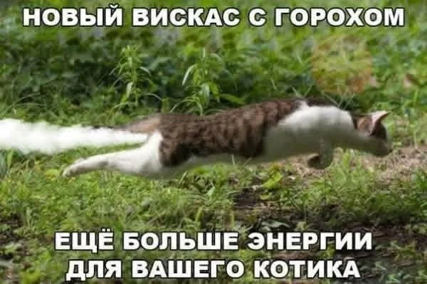 Мемы с кайфом