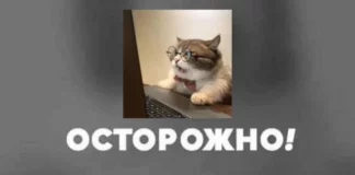 Мемы с текстом