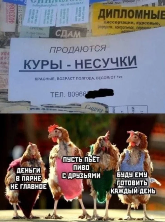 Классные и актуальные мемы