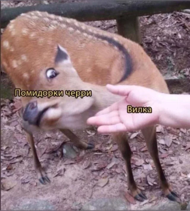 Мемчики на четверг