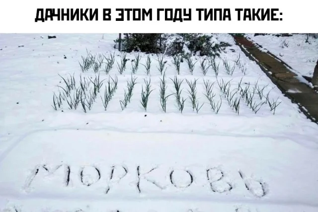 Кайфовые мемы