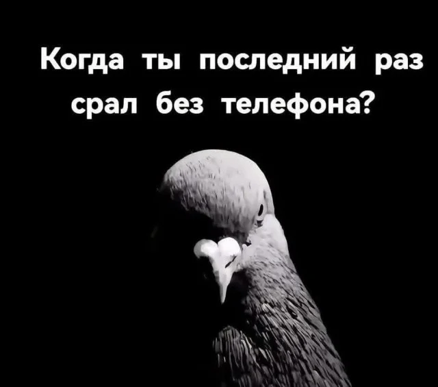 Классные и актуальные мемы