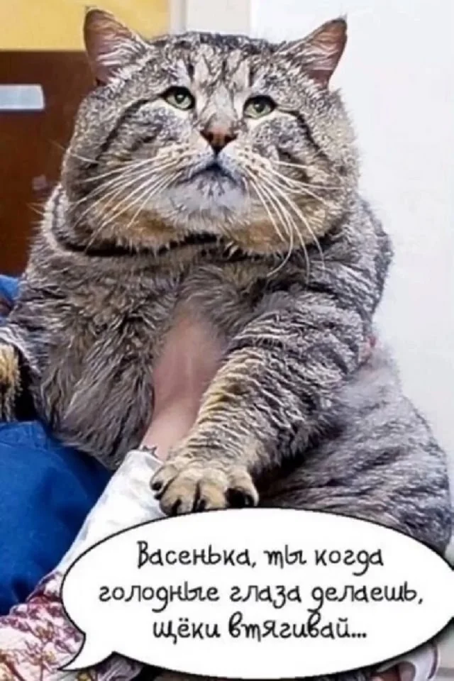 Просроченные мемы