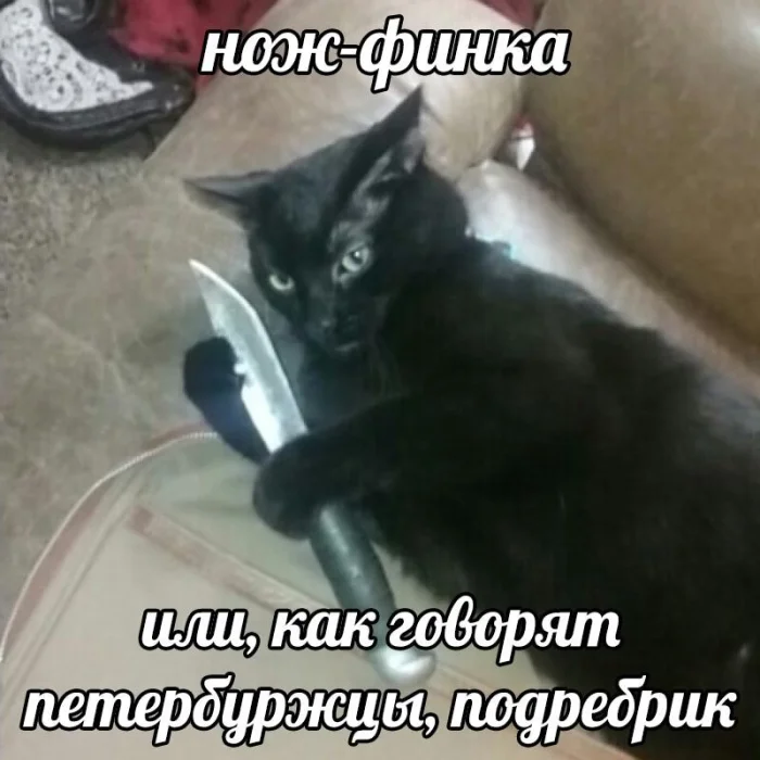 Юмор. Наверное.