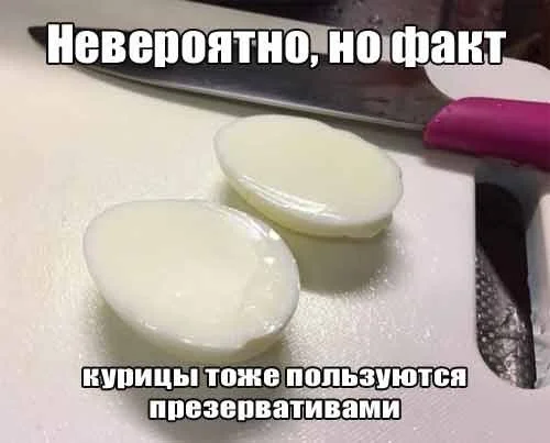 Позитивное настроение в картинках Позитивное настроение в картинках