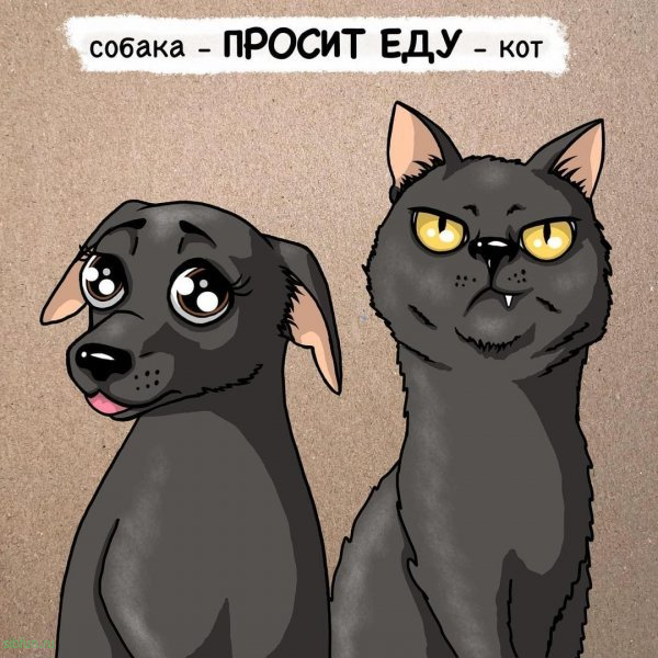 Забавный комикс от художницы, которая живет с двумя котами и собакой # 14.10.2022