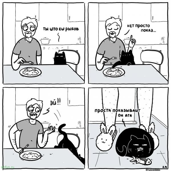 Забавный комикс о жизни с котом