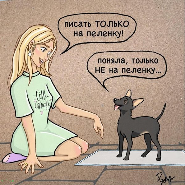Забавный комикс от художницы, которая живет с двумя котами и собакой # 14.10.2022
