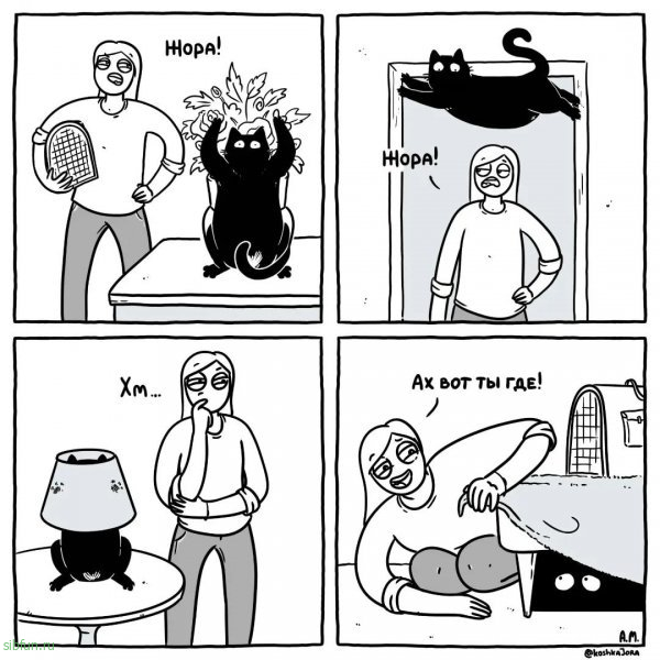 Забавный комикс о жизни с котом